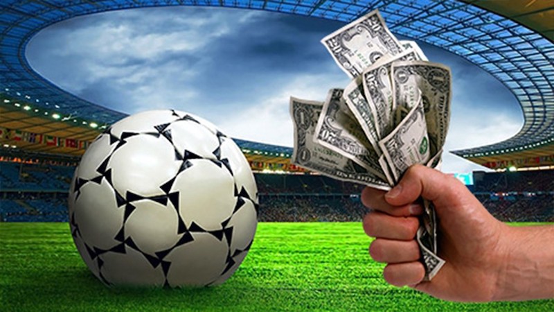 Todo sobre BETWINNER La plataforma de apuestas que necesitas
