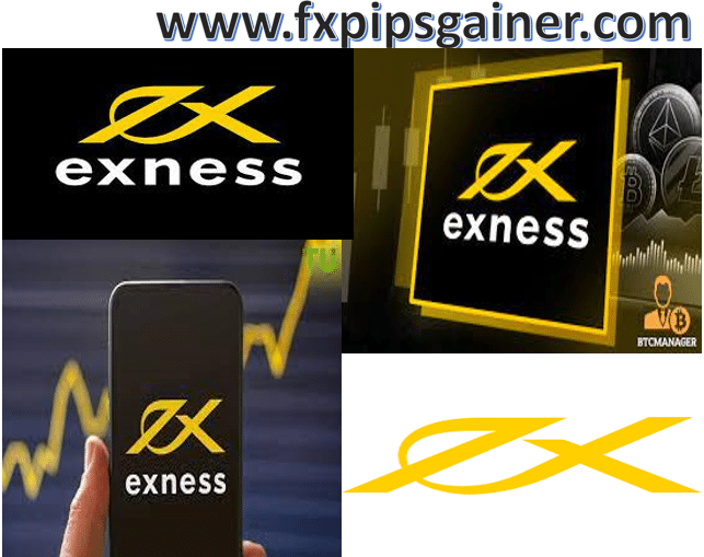 Exness Demo Account A Comprehensive Guide for Beginners